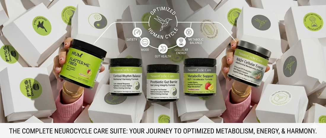 Best Wellness Supplements for Weight Support, Energy, Gut Health & Stress Balance