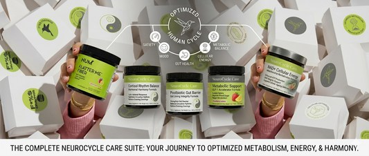 Best Wellness Supplements for Weight Support, Energy, Gut Health & Stress Balance